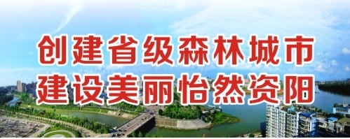 大J巴捅骚B视频一区创建省级森林城市 建设美丽怡然资阳